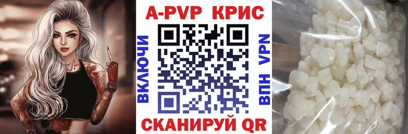 A PVP СК КРИС  дарк нет Telegram  Нестеров 