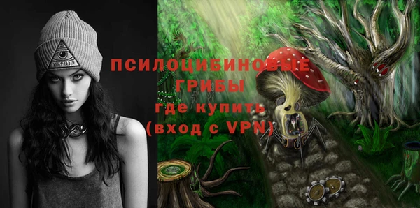стафф Алексеевка